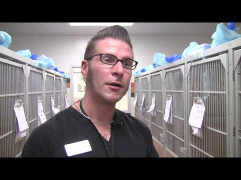 sfspca - Daniel Quagliozzi, our feline care coordinator at the San Francisco SPCA, gives us an insider tour of