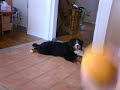 Popcorn is not a fetcher