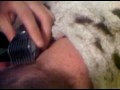 VID%2000008 20090520 2224
