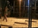 Bear Show