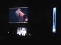 SD Intro+ BatistaPyros!!!! Live In Milan By NLK