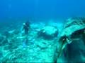 Airplane wreck at Playa Kalki, Curacao