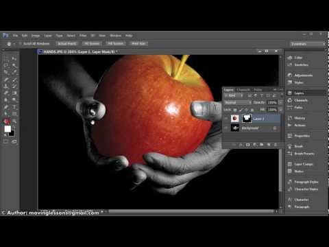 how to use vector mask in photoshop