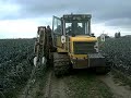 morooka mk-100 harvesting leek