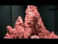 Palais de la d�couverte - exposition Fourmis et Termites