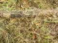 Adding Ghillie Camouflage to a Remington 700 7mm Rem. Magnum Rifle Leupold Scope (Not Airsoft) Camo(12 days ago)