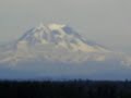 View from the top story of Madigan Army Hospital, Ft. Lewis