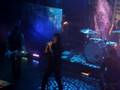 videos de Anberlin - Retrace (NYC)