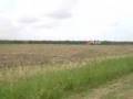 Essequibo Rice Lands /Guyana