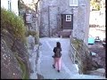 Polperro Cat
