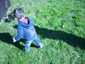 Tree Planting In Forfar