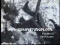 yumurta kırmaca :DDaha bir çok ilginizi çekicek video seyretmek isterseniz sayfamı ziyaret etmeyi untmayın ;)