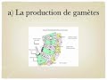 Les cours de SVT de Mr Giovannoni du Lycée Bel Air de Ste Suzanne