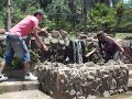 - um dia no zoO
