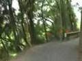 玖村の狭い道（上り）