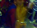 Tetas al Aire En Estadio Quisqueya