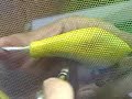 Austin Outdoors: Makin\ Austin Outdoors: Makin\