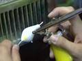 Austin Outdoors: Makin' Crank Bait