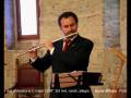 videos de W.A.Mozart: Concerto for flute, harp and orchestra in C major k299