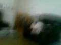videos de hannah singing