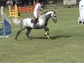 Joy Flyinge 2006- 120