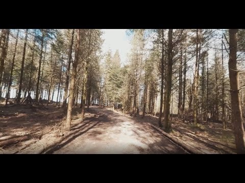 Journey through Haldon Forest 360