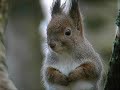 Riku Avanto & Spermaiset nakit - Vessapapriorava