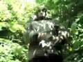 YAKAYO R1 XB SOUND BY XB12