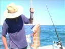 Lure Fishing for Coral Trout Lure Fishing for Coral Trout
