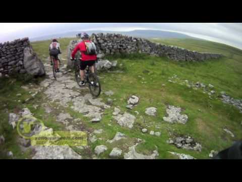 chain reaction cycles