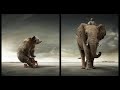 Dominik Eulberg - Bionik (Guy Gerber Redlight Remix)