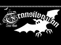 Transilvanian Beat Club - Das Leben Soll Doch Schoen Sein