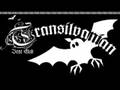 Transilvanian Beat Club - Das Leben Soll Doch Schoen Sein