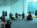 violin