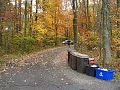 Campaign Trail, Driveway and Deep Woods