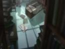 Fullmetal Alchemist - High of 75 Fullmetal Alchemist - High of 75