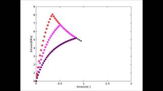 Finite strain continuum damage model