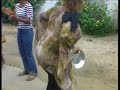 VOICI LE DVD KIPEYA YO LOPELE VOICI LE DVD KIPEYA YO LOPELE