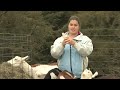 U of M Extension experts give tips for goat farmers