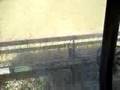 Wheat-Harvest-Walla-