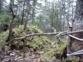Primitive Trapping Part 1- Spring Snare Intro video