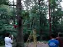 Don S on Swing