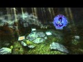 Brave PCgamePlay on I3/GT520/Windows 8
