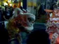 El Cachote \" A�o nuevo Chino  1 \"