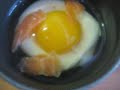 Eggs and Eggs