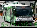 2008 Nova Bus LFS HEV, Banff Transit (Roam) #1