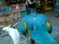 Blog clip - 27/7/07