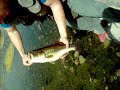racho y marc pesca