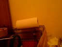 Brain the gerbil jumping into a toilet roll.