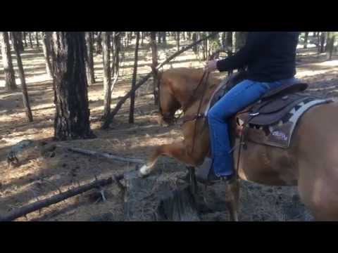 how to practice horse riding at home